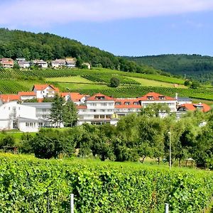 Hotel Südpfalz-Terrassen